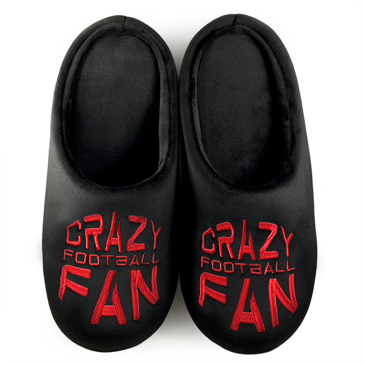 Crazy Football Fan