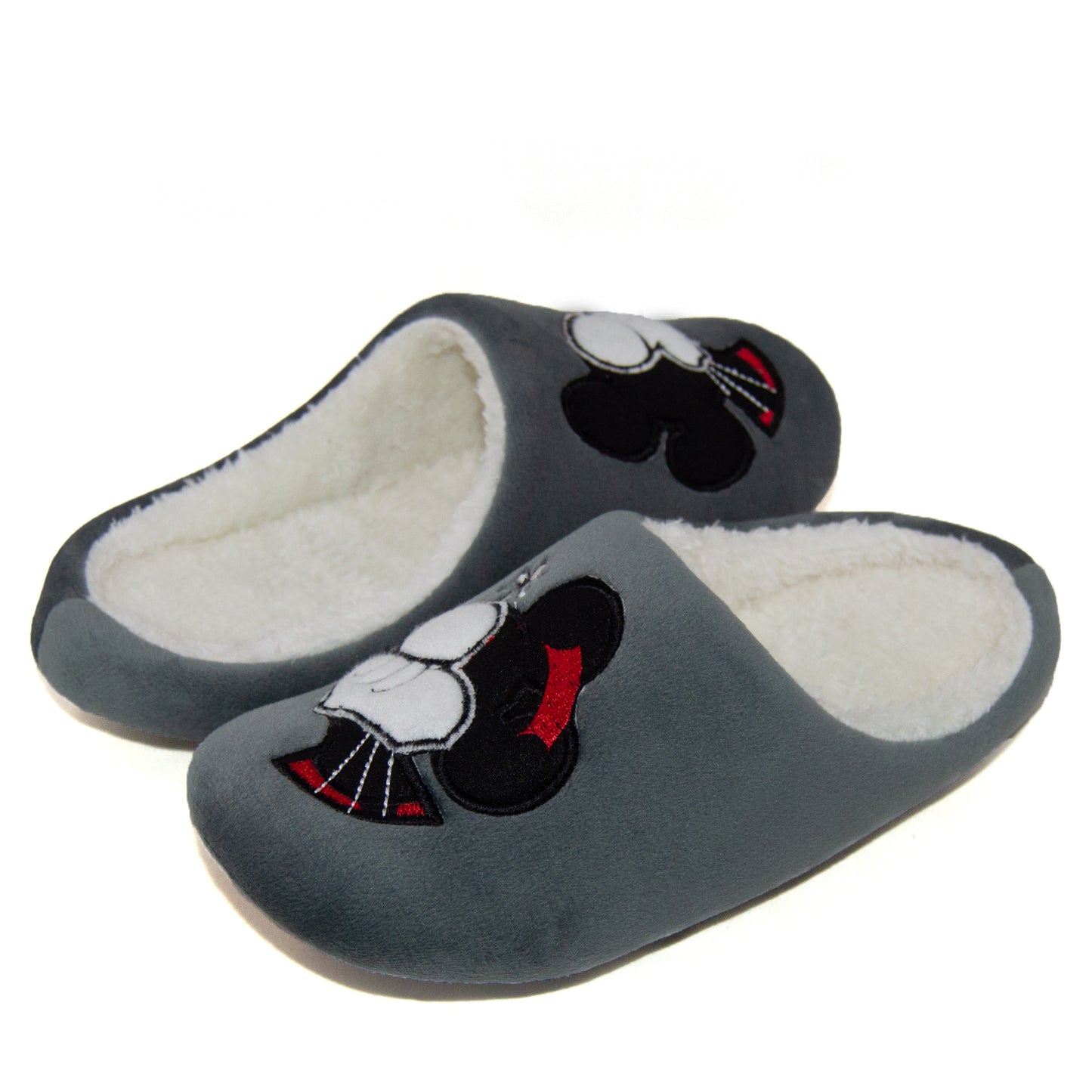 Mickey for Kids