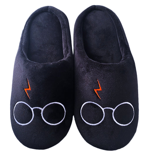 Harry Potter Lovers!