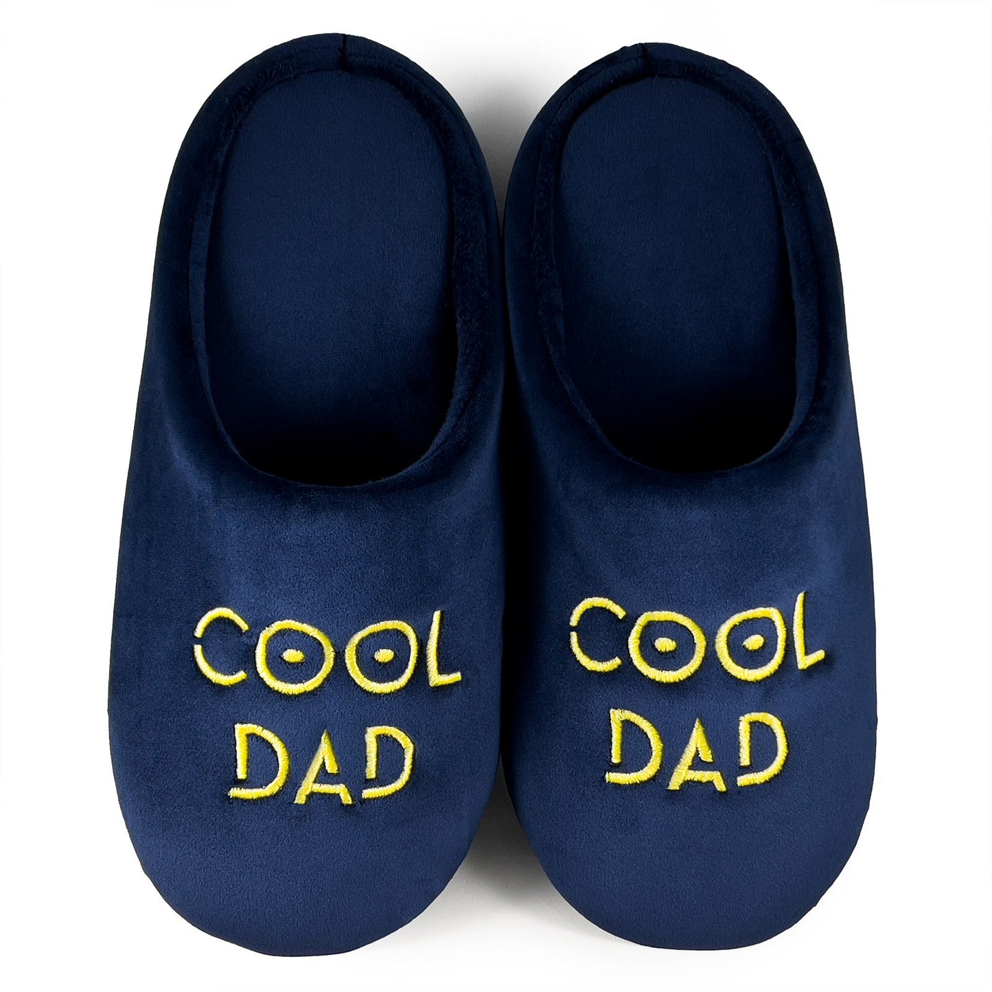 Cool Dad Slippers